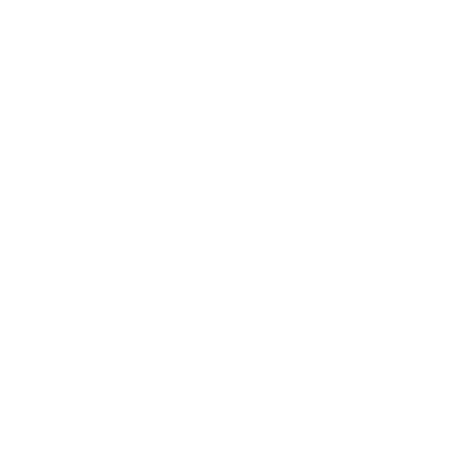 pitstop